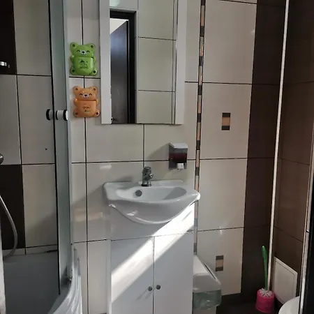 Casa Razvan Πανσιόν