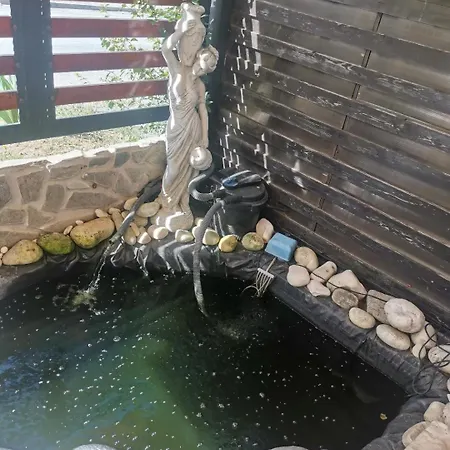 Πανσιόν Casa Razvan 4*