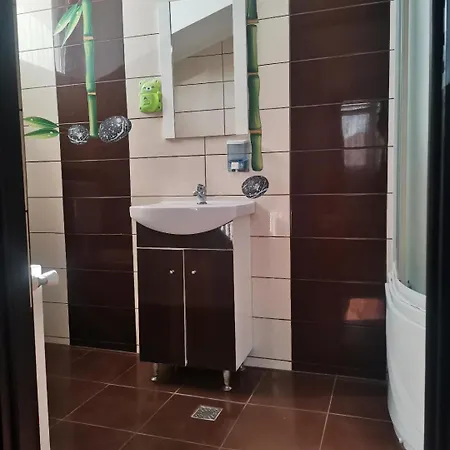 Casa Razvan Guest house *