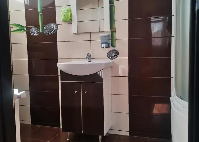 Casa Razvan ゲストハウス 4*