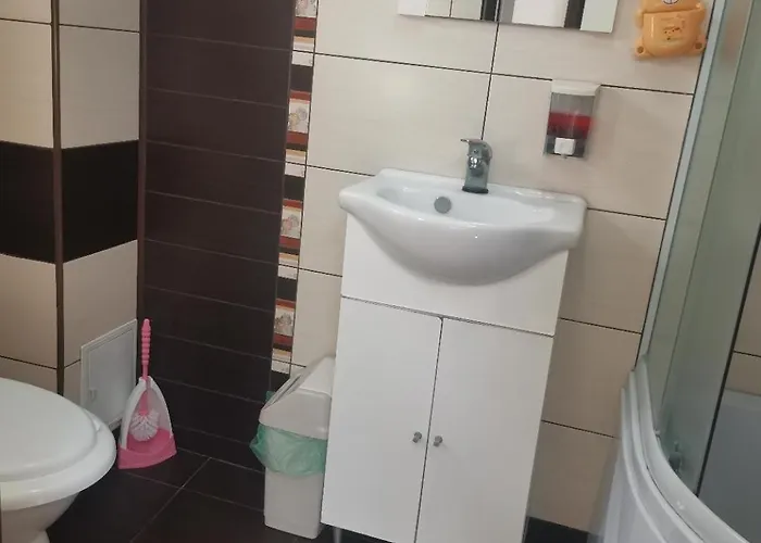 Casa Razvan エフォリエ・ノルド