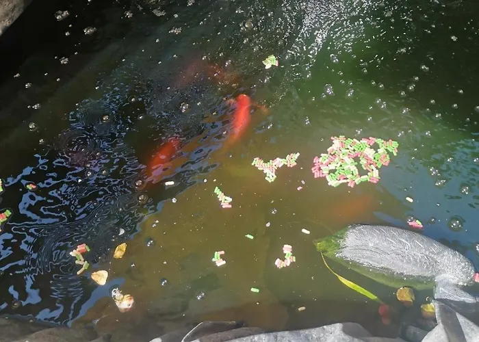 ゲストハウス Casa Razvan 4*