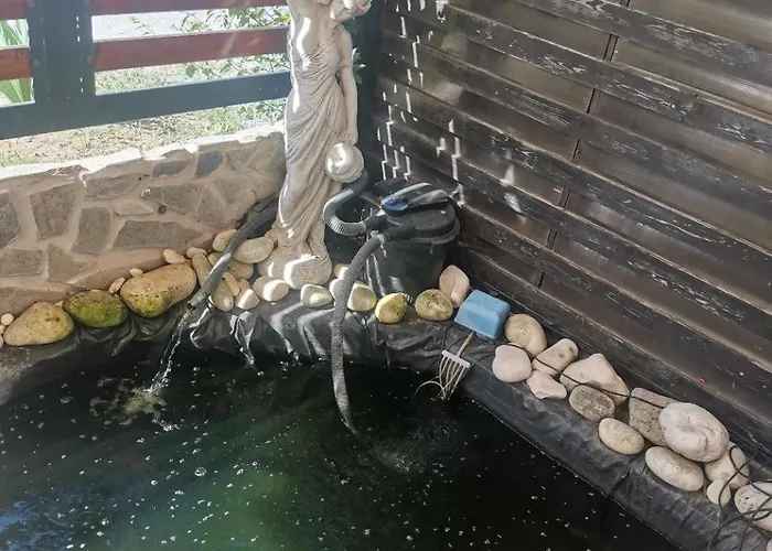 ゲストハウス Casa Razvan 4*